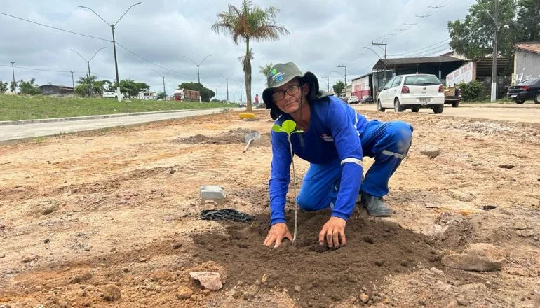 Embasa e prefeitura de Mucurirealizam plantio de Ipês em Itabatã