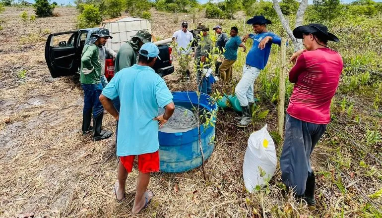 Corredor etnoecológico visa restauração e conexão entre Parques Nacionais no Sul da Bahia