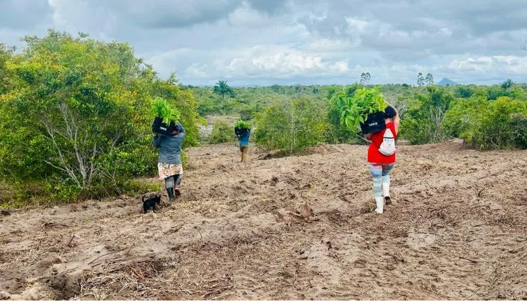 Corredor etnoecológico visa restauração e conexão entre Parques Nacionais no Sul da Bahia