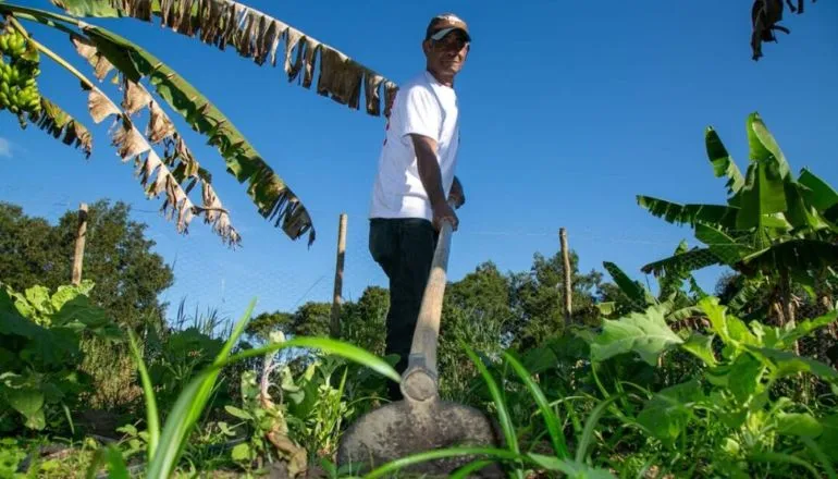 Prefeitura publicou edital para aquisição de alimentos da agricultura familiar para 2025; saiba como se inscrever