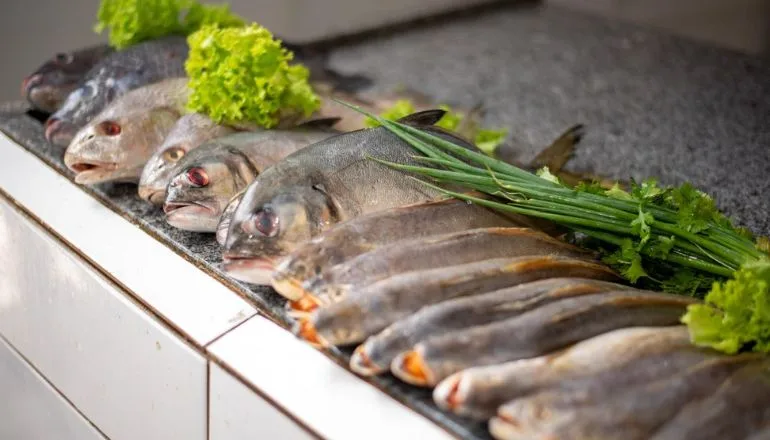 Peixaria do Mercado Municipal se prepara para atender a demanda da Semana Santa