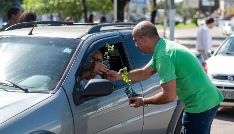 Prefeitura de Teixeira de Freitas inicia Mês do Meio Ambiente com drive thru de mudas nativas da Mata Atlântica; confira programação