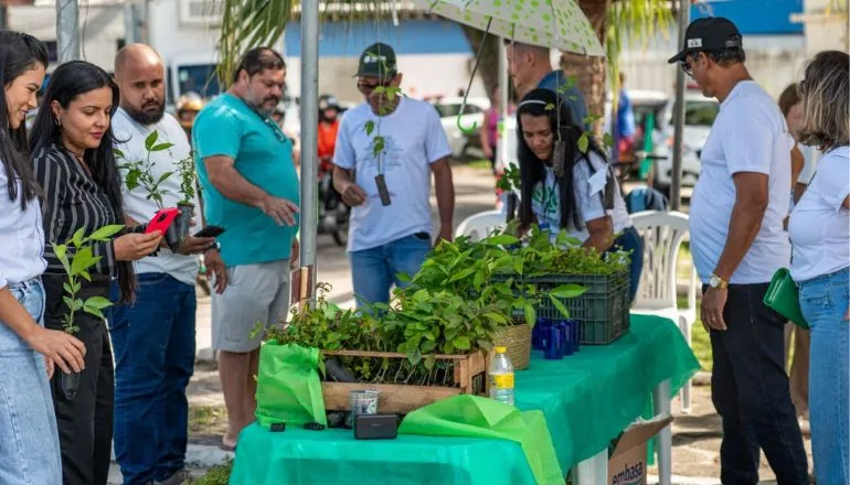 Prefeitura de Teixeira de Freitas inicia Mês do Meio Ambiente com drive thru de mudas nativas da Mata Atlântica; confira programação