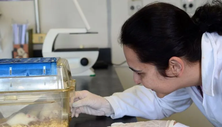 Tecidos feitos em laboratório podem aperfeiçoar testes de medicamentos