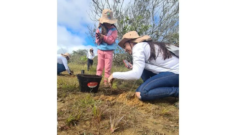 Embasa integra ação Planta Bahia com plantio de 500 mudas em 16 municípios baianos