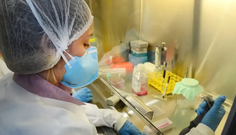 USP: pesquisa de vacina contra zika avança em testes com camundongos