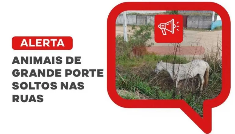 Prefeitura alerta sobre animais de grande porte soltos nas ruas