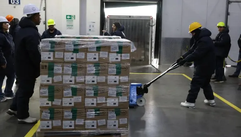 Brasil recebe lote de medicamento para tratar câncer de mama no SUS Brasil recebe lote de medicamento para tratar câncer de mama no SUS