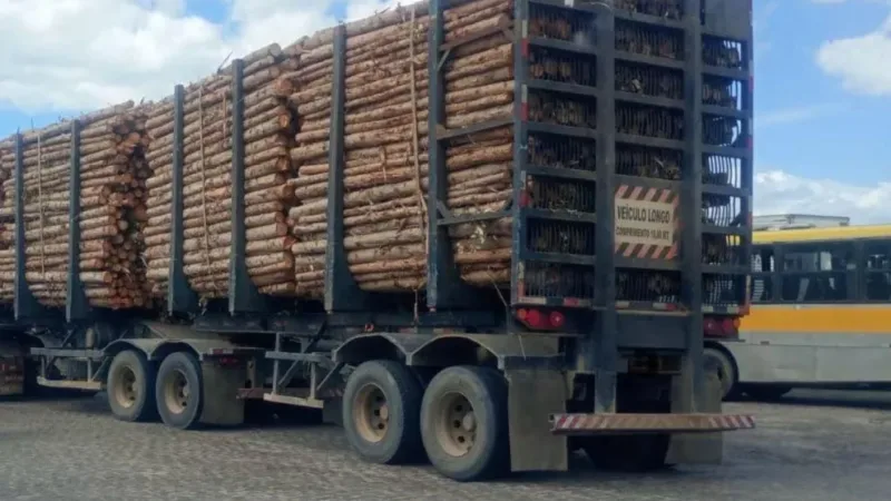 Homem é preso por furto de madeira em Itamaraju Homem é preso por furto de madeira em Itamaraju