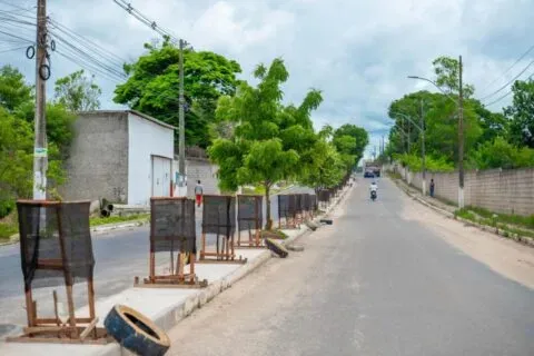 Prefeitura de Teixeira de Freitas realiza melhorias no paisagismo  da Avenida Kaikan em Teixeira de Freitas