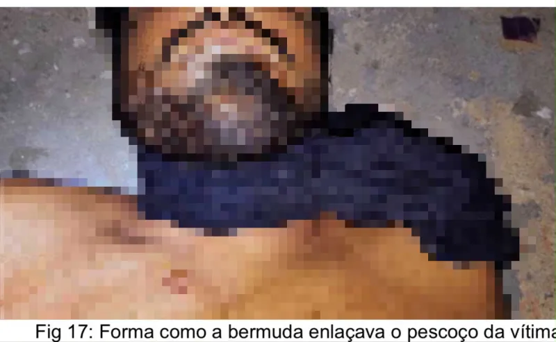 Perícia confirma suicídio de suspeito no caso Ana Luíza; investigação sobre sua morte é encerrada Perícia confirma suicídio de suspeito no caso Ana Luíza; investigação sobre sua morte é encerrada