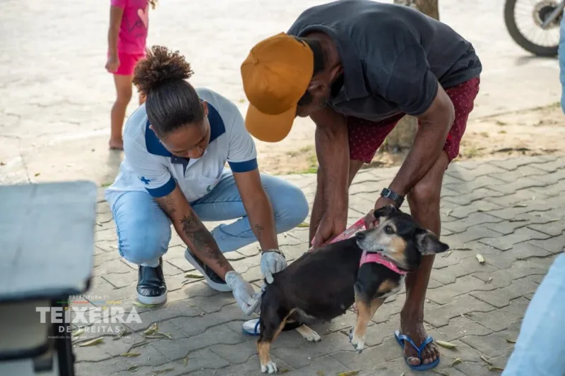 Proteção e Responsabilidade: Município intensifica Vacinação Antirrábica e reforça que o cuidado é um trabalho conjunto
