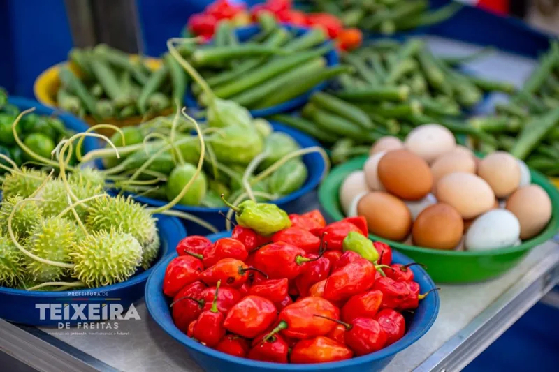 Feira da Agricultura Familiar aproxima produtores e consumidores em Teixeira de Freitas