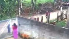 Bebê de 10 meses morre após ser atacada pelo pitbull do padrasto em residência no interior de São Paulo