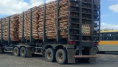 Homem é preso por furto de madeira em Itamaraju