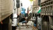 Unidades de saúde para caminhoneiros ficarão em postos nas rodovias
